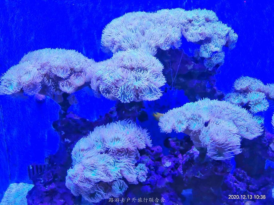 IAnP3yvCrJjIvqKyL61qKMfAhsyL8LmcfBuOJfGUh0RHxD-ct9CrwMnQqHWkYHUH