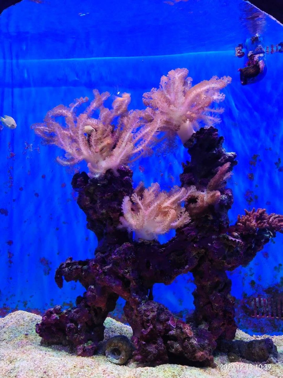 OIE34TzU79ev_I_qd3-uFVFJkJrReNMnfn-XhwXNwaKIohAIoTgloqZZZogiRohD