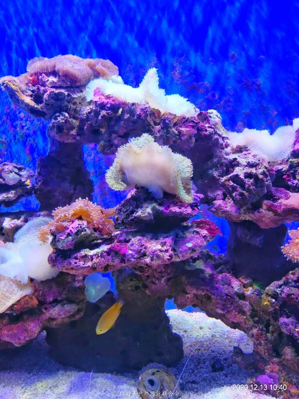 RmLJ0_3pvSBbaNXclzDTsDd3afhEu5MEyNciqKnHSdjCeoZLYJPiAIeUB6pSURWc