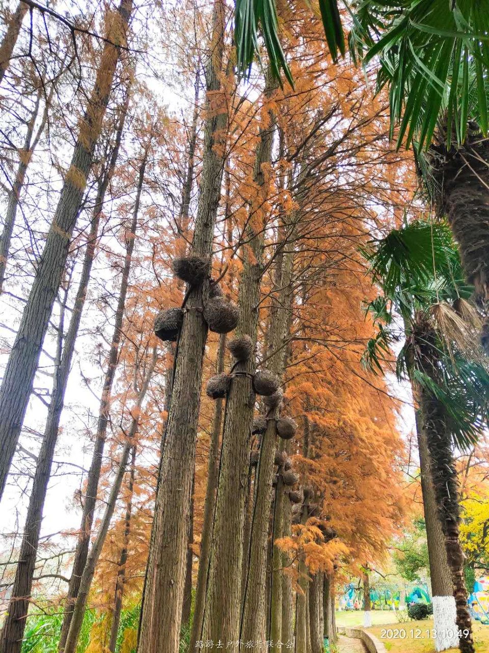 4FoyP6-7X9MZkA9xYDsmNBlyh_1qDfA8x3FuRmKysw45ujIJQH_2HCvoqN6HJuK5