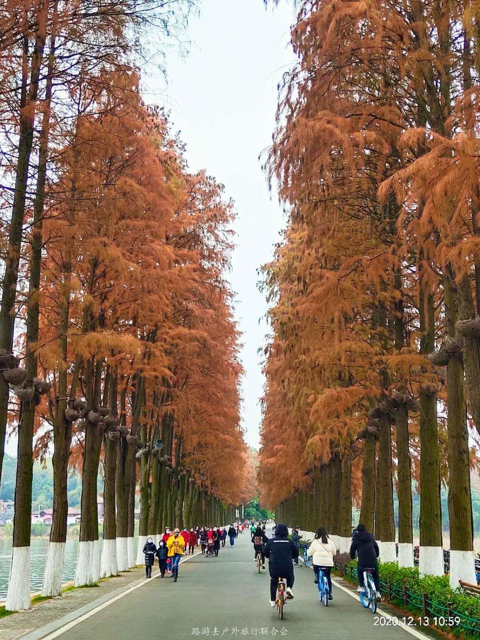 29jVYqvg-tQpiIbTAJIuSX2IcKj3vn6ZuNe8Sx8OFYDDX9rtNU2tLXai-c7QhL3l