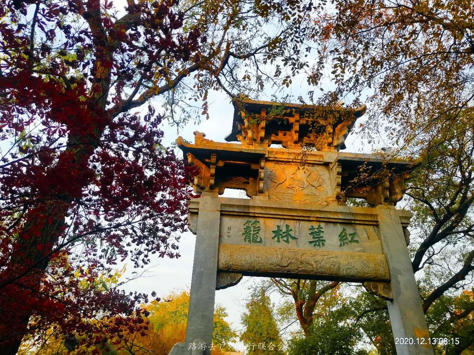 8RS_DxQCNRFOgOOkYzeYWkppuD2Gq-6xoWRHR0DSDslZgy715lnqS2_QxDgwwnzx