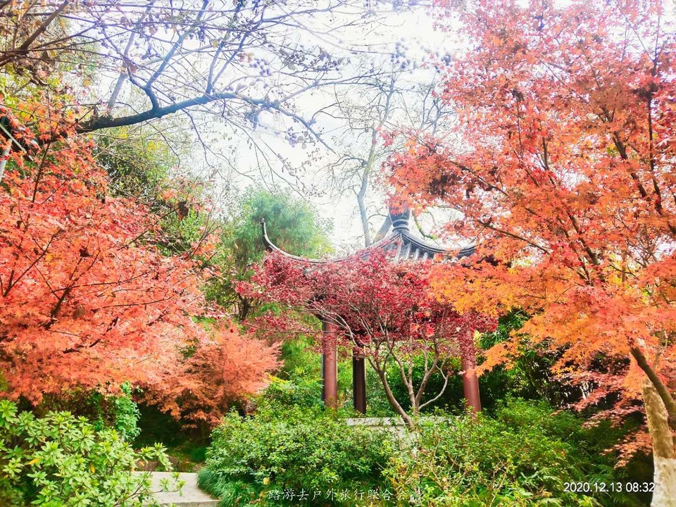 A1RRB5Ze-0iIol0uFabuqbrNQfKfvj4q_fX4ogTtMCfehlS924uetIamiTw1Qm9x