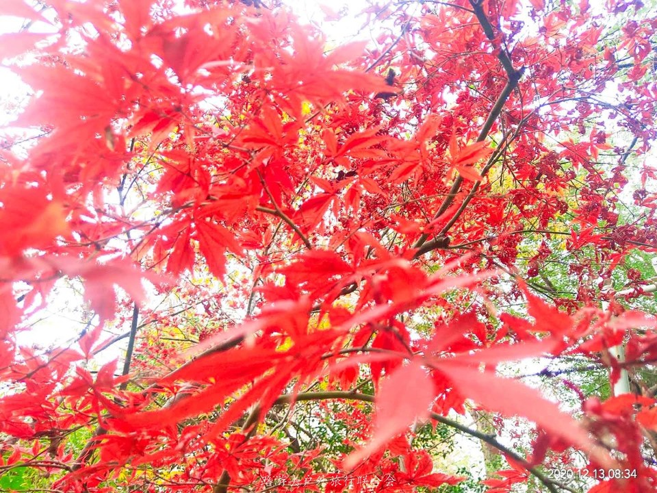 K88TOr9LfVyF7ooZkxiergTlssgt6K9QWD8HweEFLehJR2aP3I-f5O2Zndlj7CCn