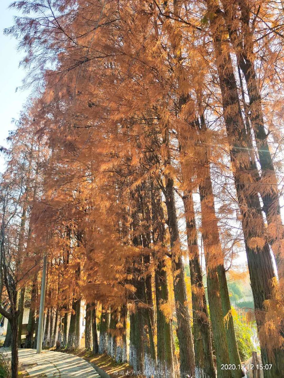 URFI4XnlmJ9YSTtt3C0E0ArLlrbBWBbUHt1e_rhrdHYr0UDhfR1ve14TJvTFOQK6