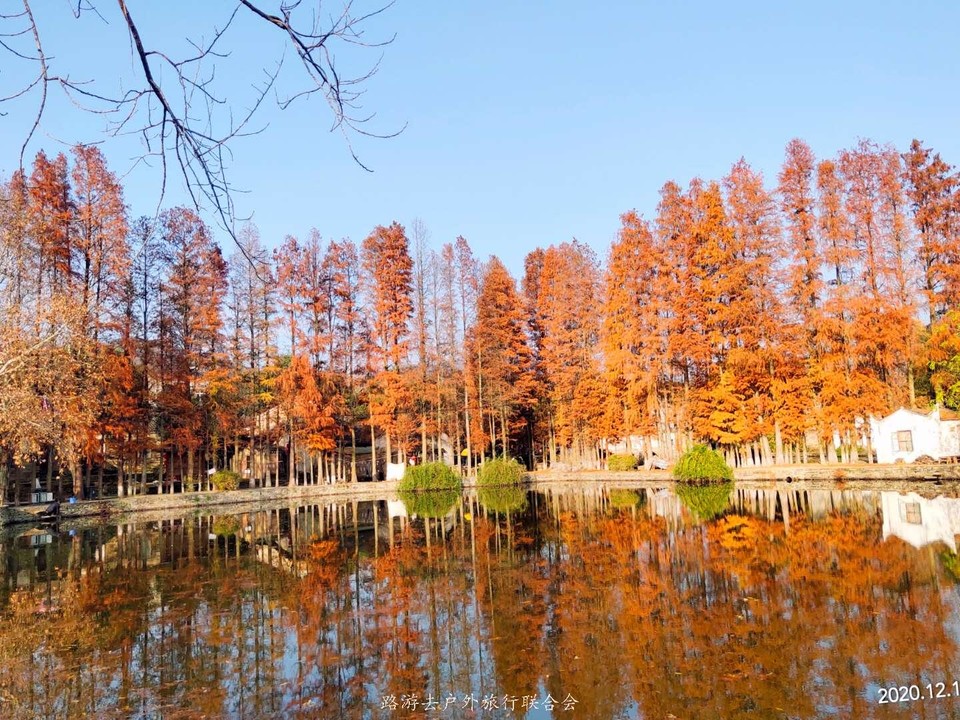 o3NS96EkYPTHnhmUmFexZBzjeYXK-zoU3KW_Jjcv-P5AHDU0egJ4_SWrb5uVzFCX