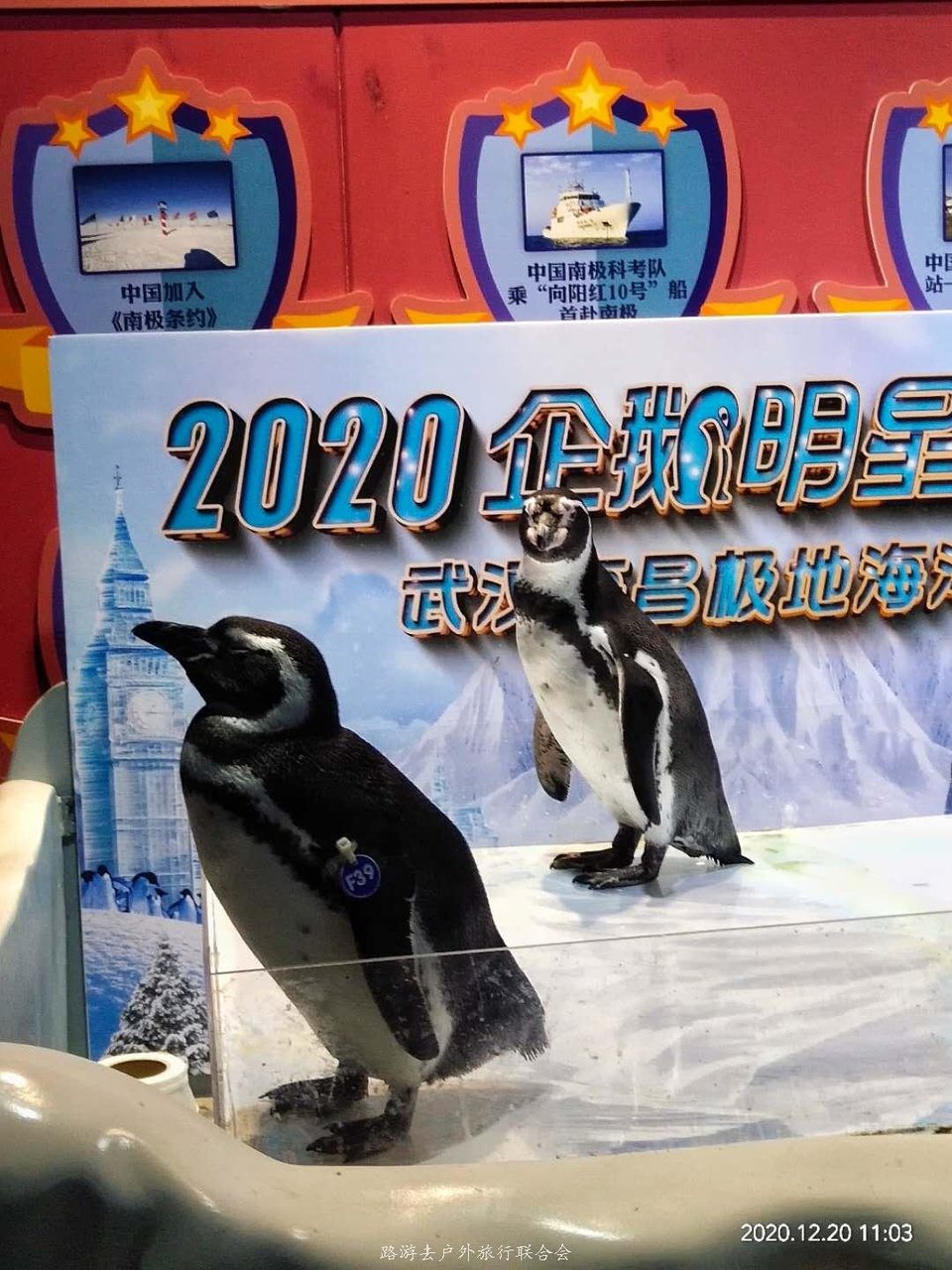 MK8McdVEGumxaqpsOaF70xvcVQumvqmBntenk7bUbrSnVHRxDl6d9sBlkYYHjIxq