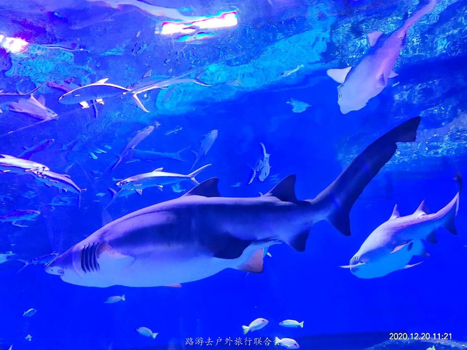 B9xHk2yx2uNkmj3qvEhjLnEbP7bOOKvL6cRtX5-yz3O9fpuoGQkbOaE-x7LMXkQL