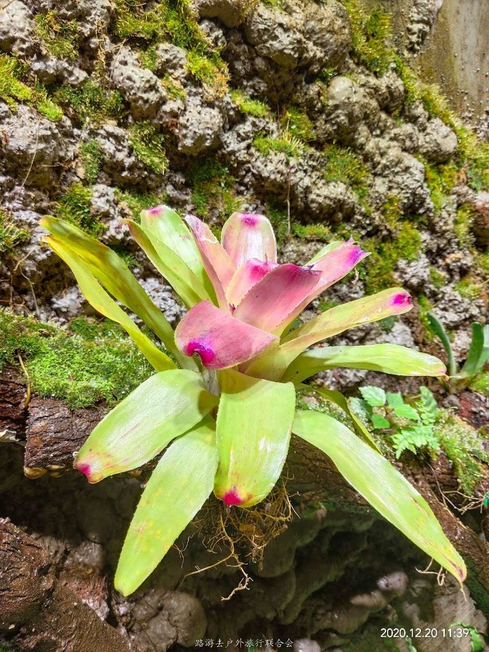 b1X-xdtE825qtz6SbprWajcfuWZzF2J7_7DgLWG9_YnUn9pJZf5Blj8zRO_eXcMH