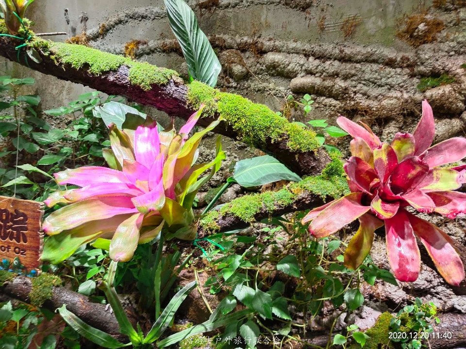 ox_JlT05VDA3MrauUEAmi9Ad8Z3wwxR5IVarMbuhb1Owh_23sAIznYmGlpg2tcZe