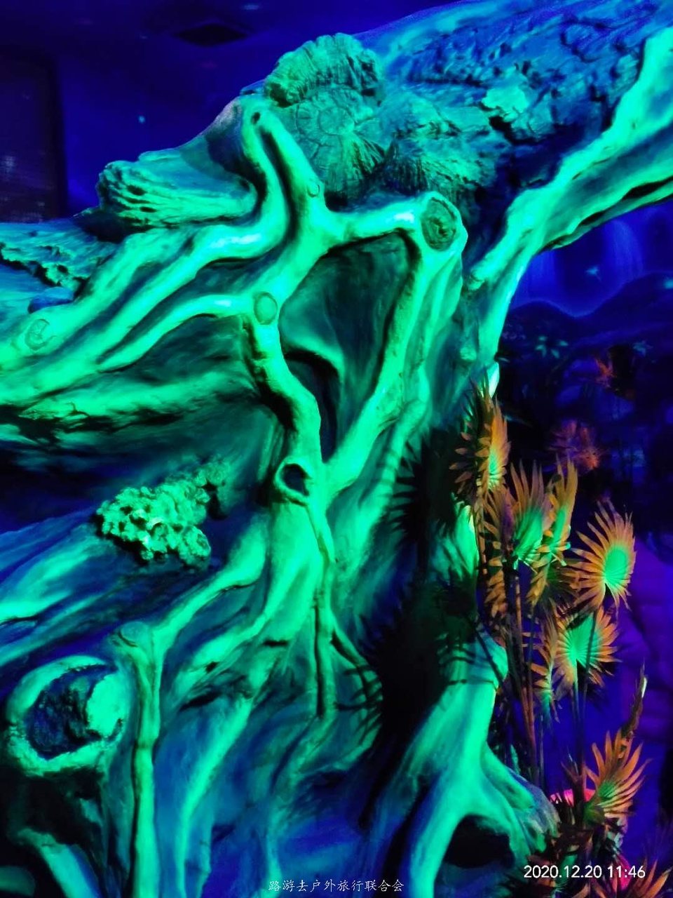 GVnYSlU13RZopYrL5EDAdsbvtxd90EfHMUKNPuTt7S1cX2yhx1UEv0DN30vxjV72