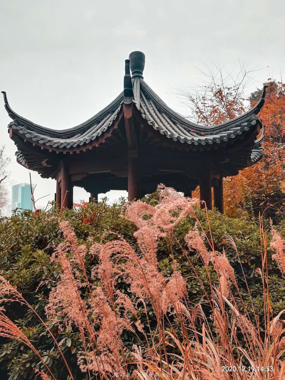 7P6ZOZYzaEyQ2oyclS_Y9hwZiBG19e0SLVwdrScu-eya_rv039SJpCuoUcXr3daS