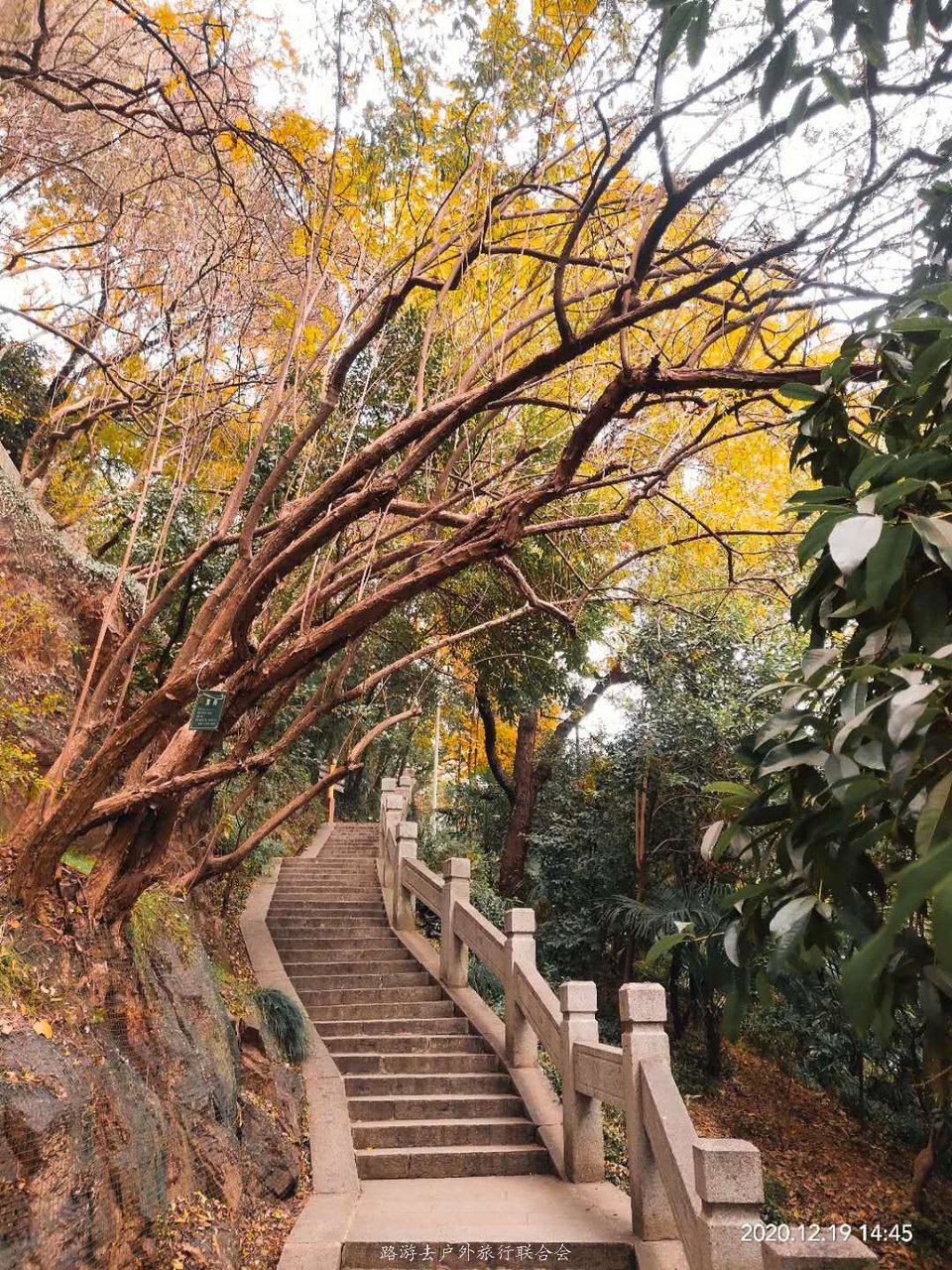 bcA7QLii6-ELS4BiuNlk0c6TSQJDTYwlkYUbI7tf1ReL5FzFRAvCHf4M9EhhoMB5