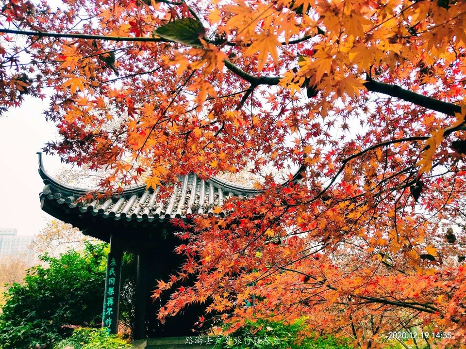 hY0nkC7a49npYV4OkCskznLVwWZ-f9nDbQNoTRwvLUSov_MWwzhSouRopRLhS_an