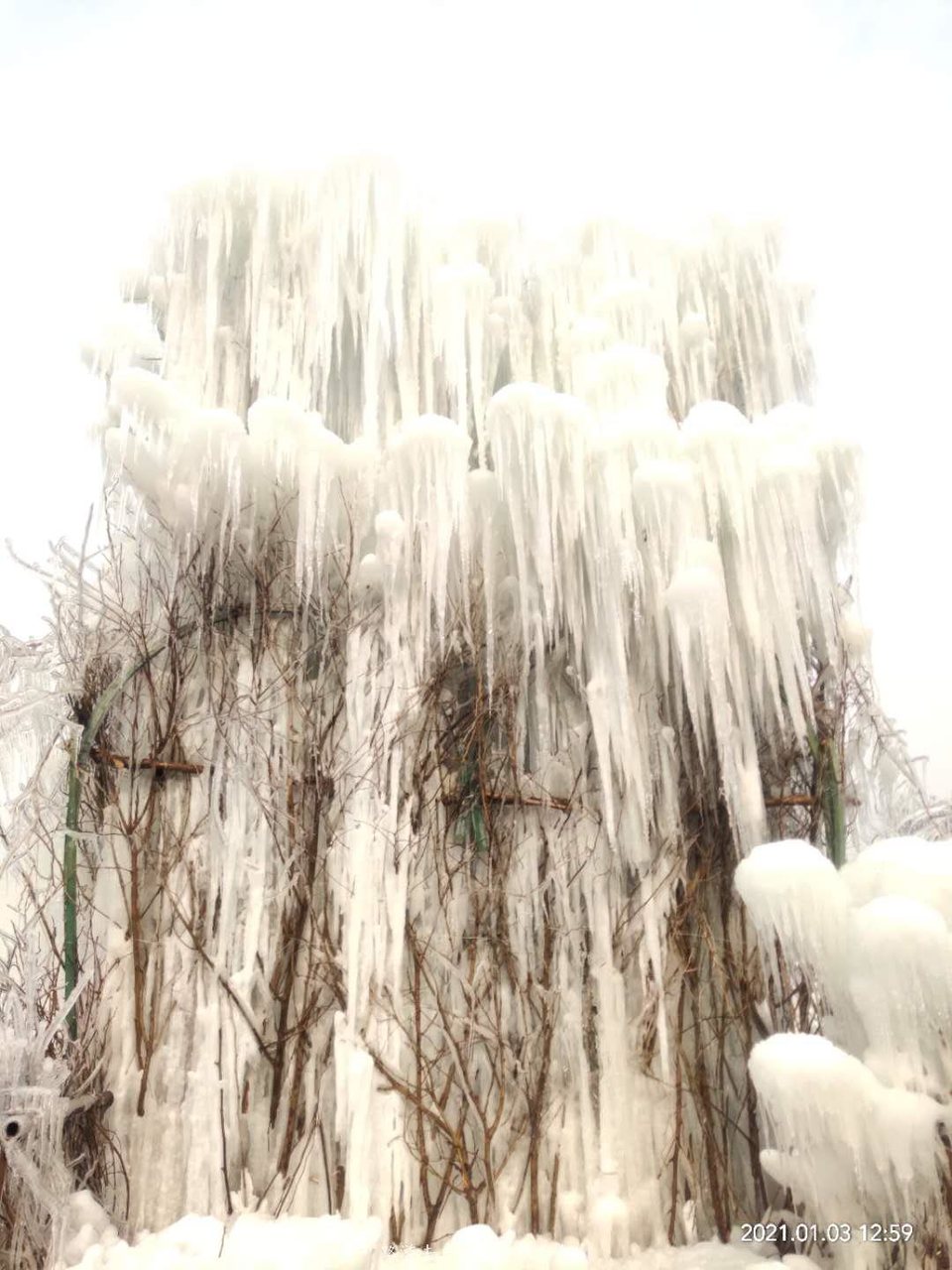 AA6uBHhb-J-OvVAKPG56WRq_iYjJstQ_a5CZ6X86jZdrFVs15x1nQmLFgaRnq_6r