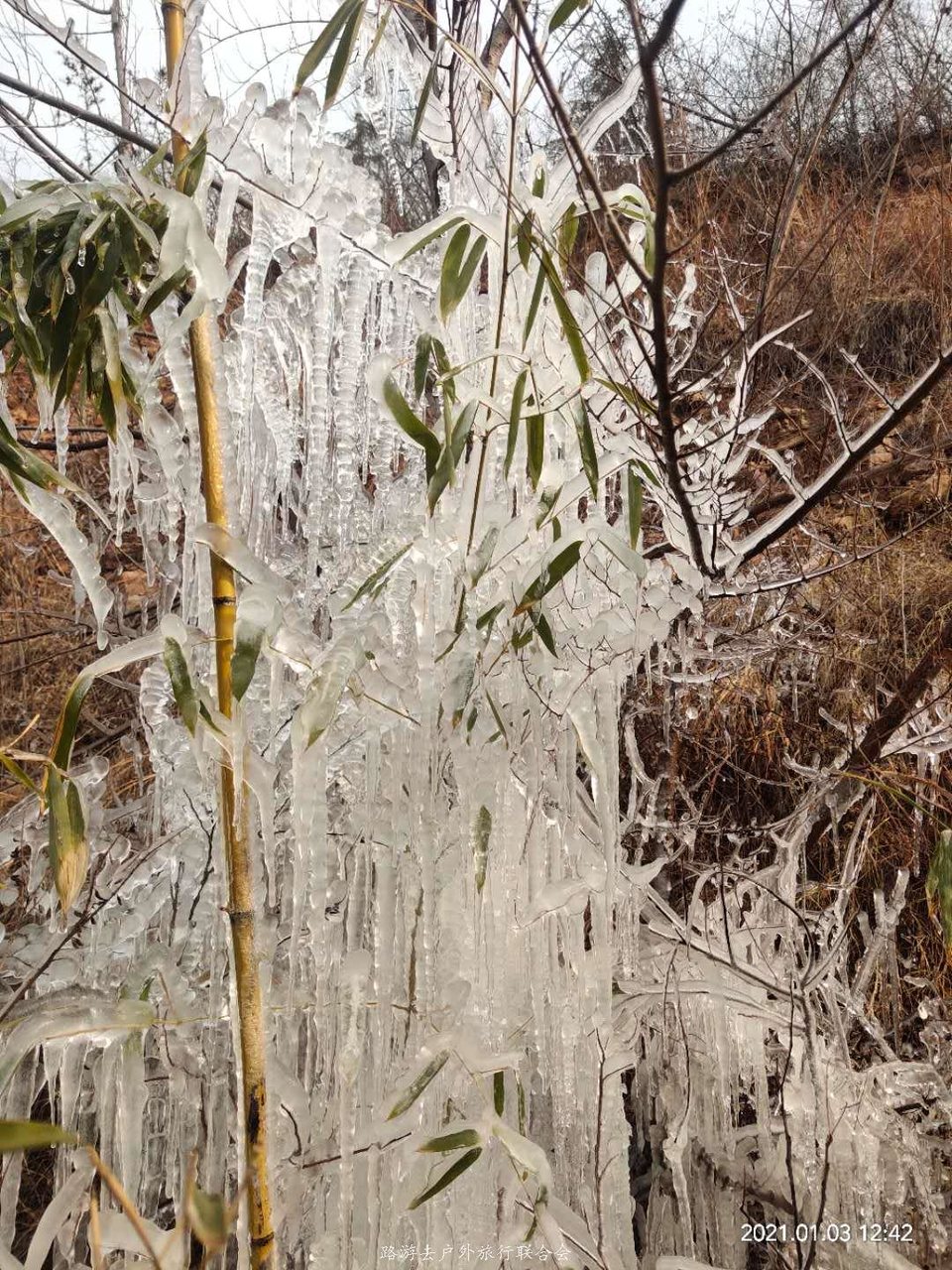 PBAKgtfgy6jfp7l-CafbyVzL5Ksa3wOiNzkEh-bN2mbXcJa8el2FnPRcAYh2tKNI