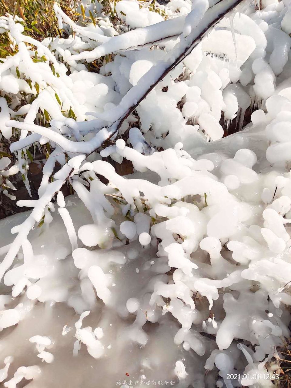 OBbIvFFctkCzN7f5nfDU1gORi6ZFW-4uU0pPbAB3IFoenUJuJGflbeOCXe7p-HuS