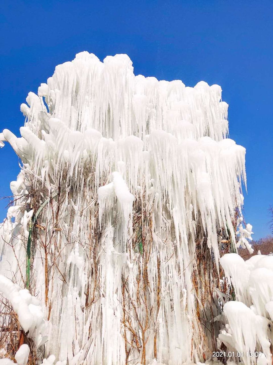 gidRk_52wNbRrPf5m7GOiBI0b3ERru91A3RsmeJr4KTyPG4_08w5AESxVCNHsh3I