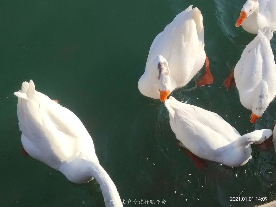 rEjn5KLyqslZaObf1laHL6JHorBHrkhpPkiQHpXO-fkoIgP8mowFpO2Py1h4pxO0