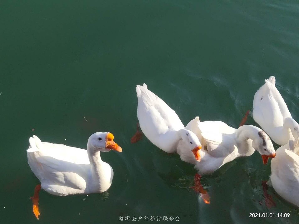 UniOmhzdS2h1Y94BvHvpwbyOqMtEfCpqLa-mz-nLnO-2-6XvLBJcTTFAOySqgLqB