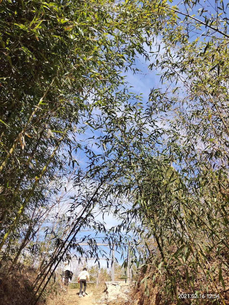 QE4RSnoQLV34IPkmfQYlNbLbbE5jc-kxfNtxRa_LTu0ScazKr6Kker3JL7HXWAmo