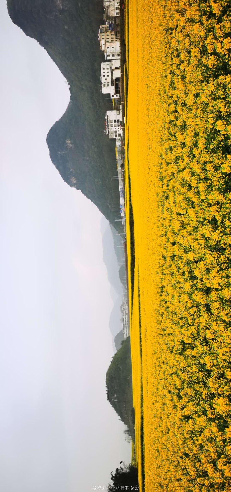 A7tW_d3MJ-Vg7Oee_Y2InuEeqZoEHv89q1hF770bY8DJniS_YPn41C4CUtTM46G2