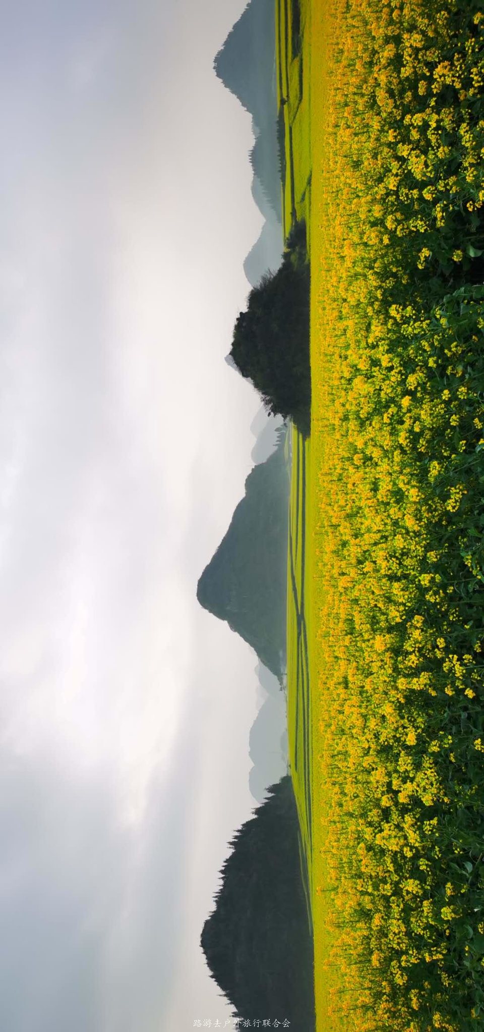 0rKuZwWVgv0EcvYLm5YUh2zxIScTeHcWWUEdm1MJwE5JuizJ62t1SrYg_cjWiYjJ