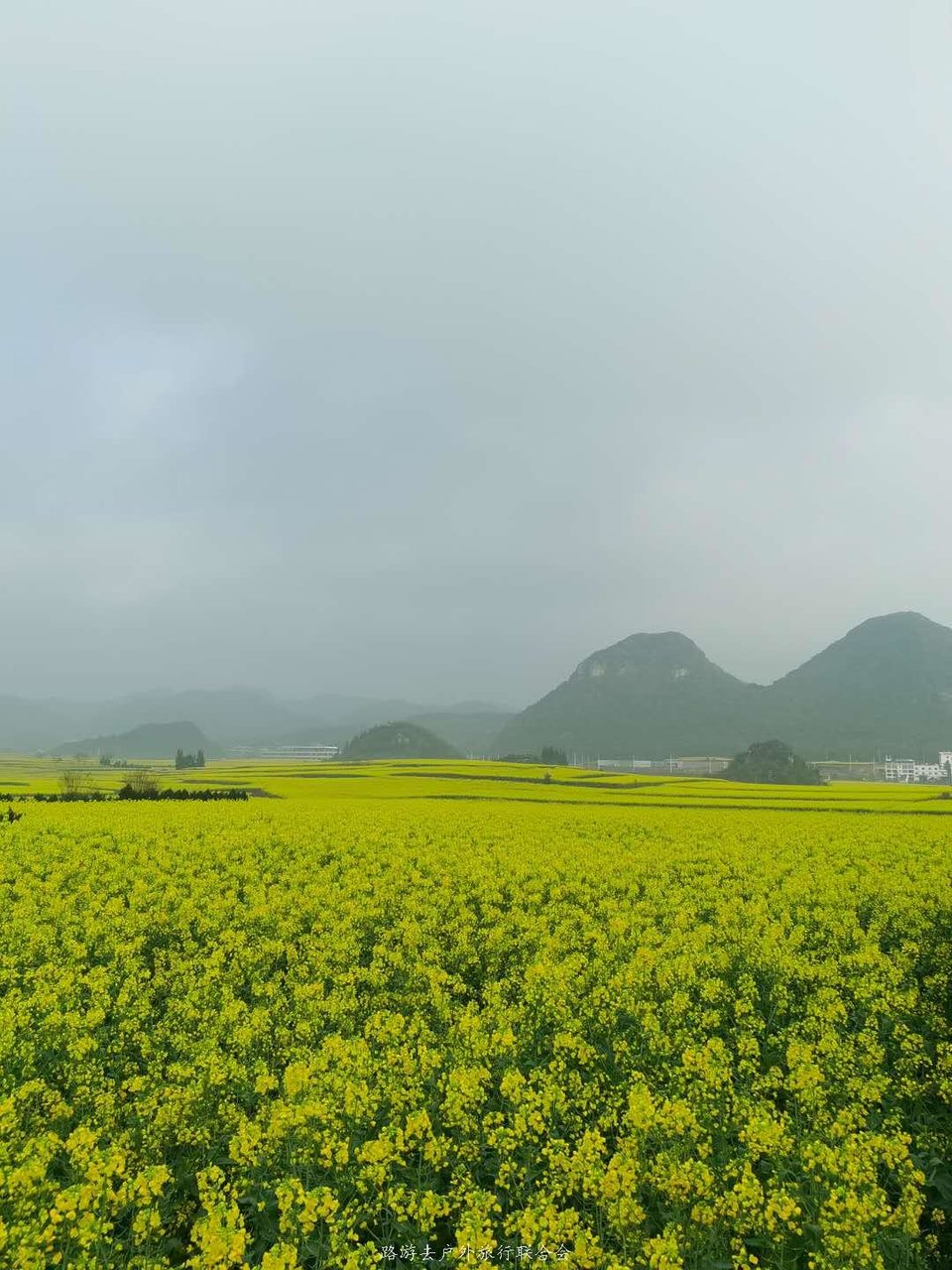 lHFRBPanQMJHas40oDXzAIDMmU5CbaDE0WHeDZpcwktwwymOX5YnG-yh38DztUgO