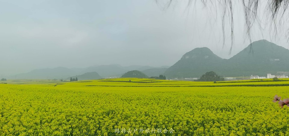 IgmeK4gJ7yHpgjzqPnik5aNt7PgVtoFM_choldOFuEWB4hN1gs8PSoW-H7YMKPra