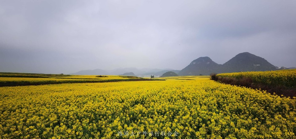 i5h6sG_hV0O4Ak-VRXIy0OlcF9eOzR2w5FeHDJzE7QyJx4MIykyCyOkBTDZM4x8p