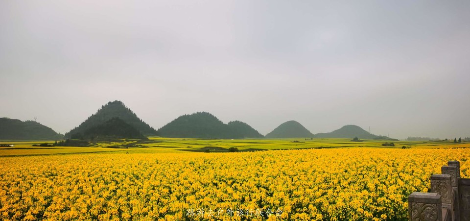 IfI91_d5rp-UZXZMXqbpESqLmhiBDEow7_M2j7zeZiNIx8-WmvMLlNXVVWbA674E