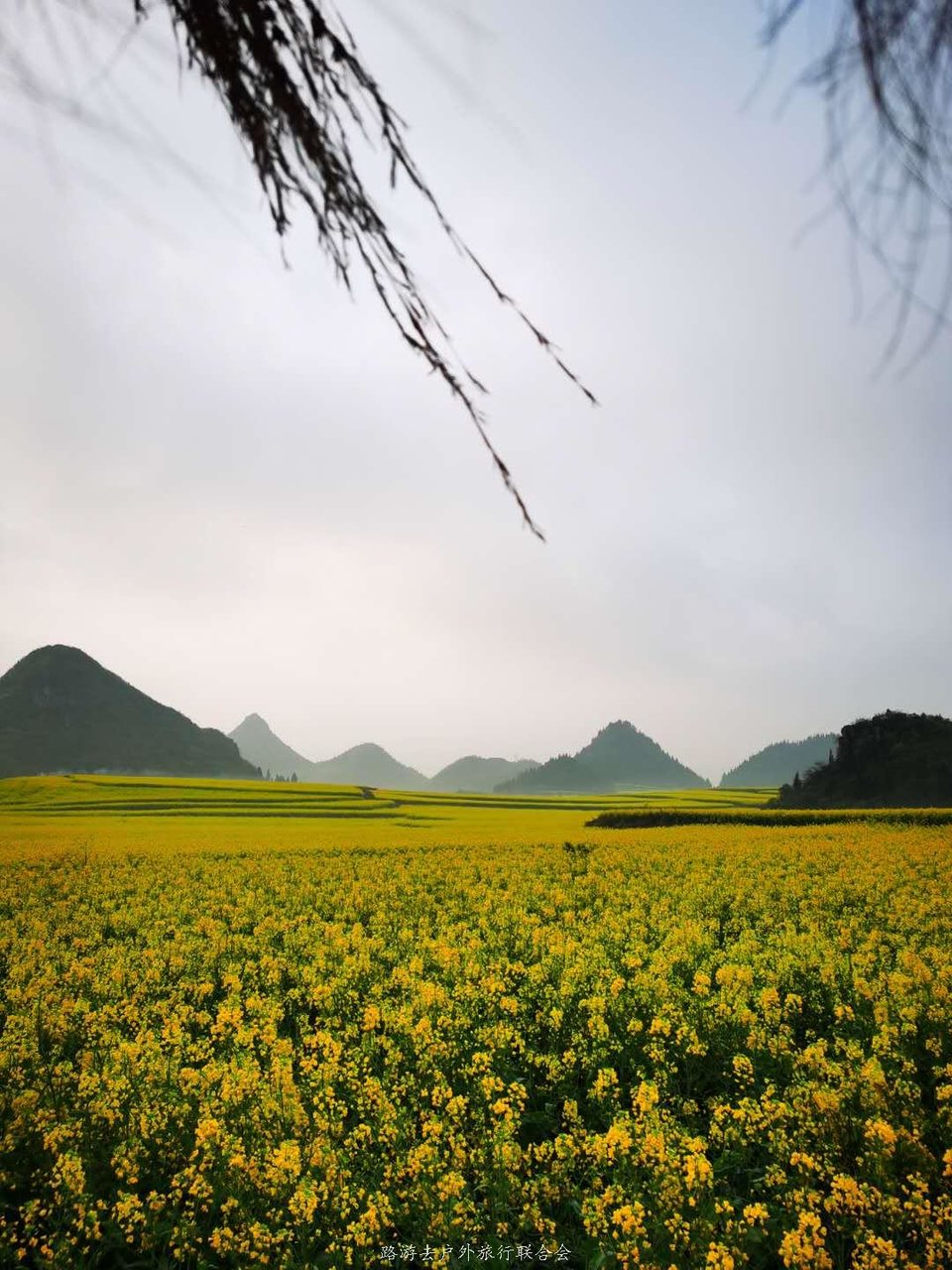 8gjeXA8ZWJkLG46k0uRAgkWu-Mdeq8BJhLoUr5emN8ghZuEfV-5RfprC-QixrVk8