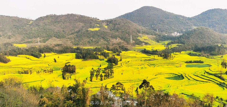 tSon1PoPQeHyC-RPnlp54upv6IZaxIAtHILYBmcaVp4xwaXFJ4KEx-Ziyr902egb