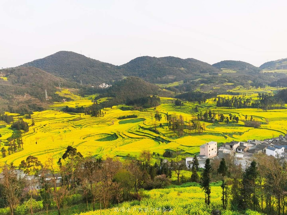 llgJBKR0NPyM-gP8LQ9g9CBvOwkcCbSnouji4YFM6y34_nIe1k-aNtku0izAA_tw