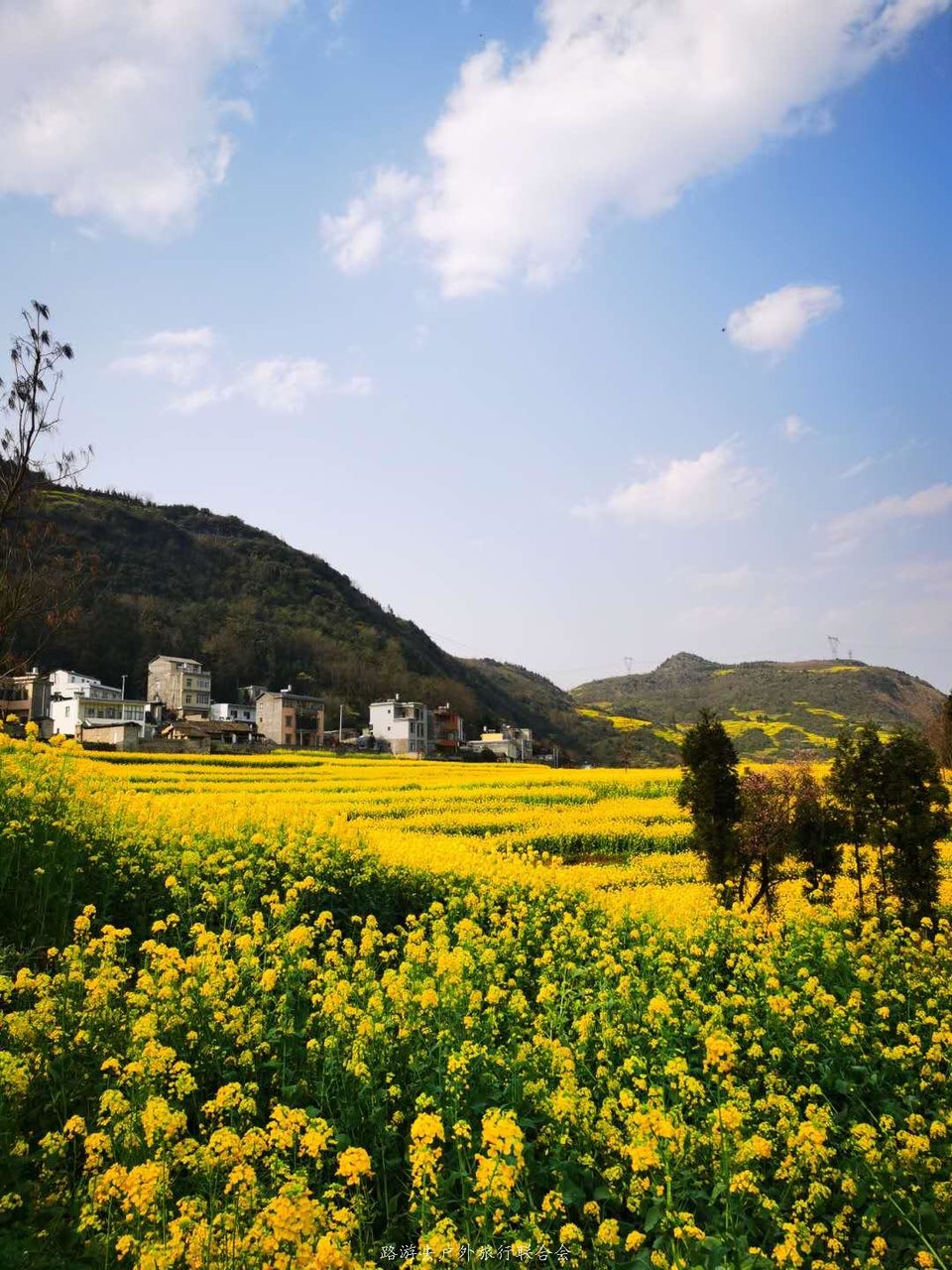 yz8a60SlfsJVF2NgyHTscfwk98vOfDuSk033IHQQ851M6qA7H5Dx0_om3BrOPzYR