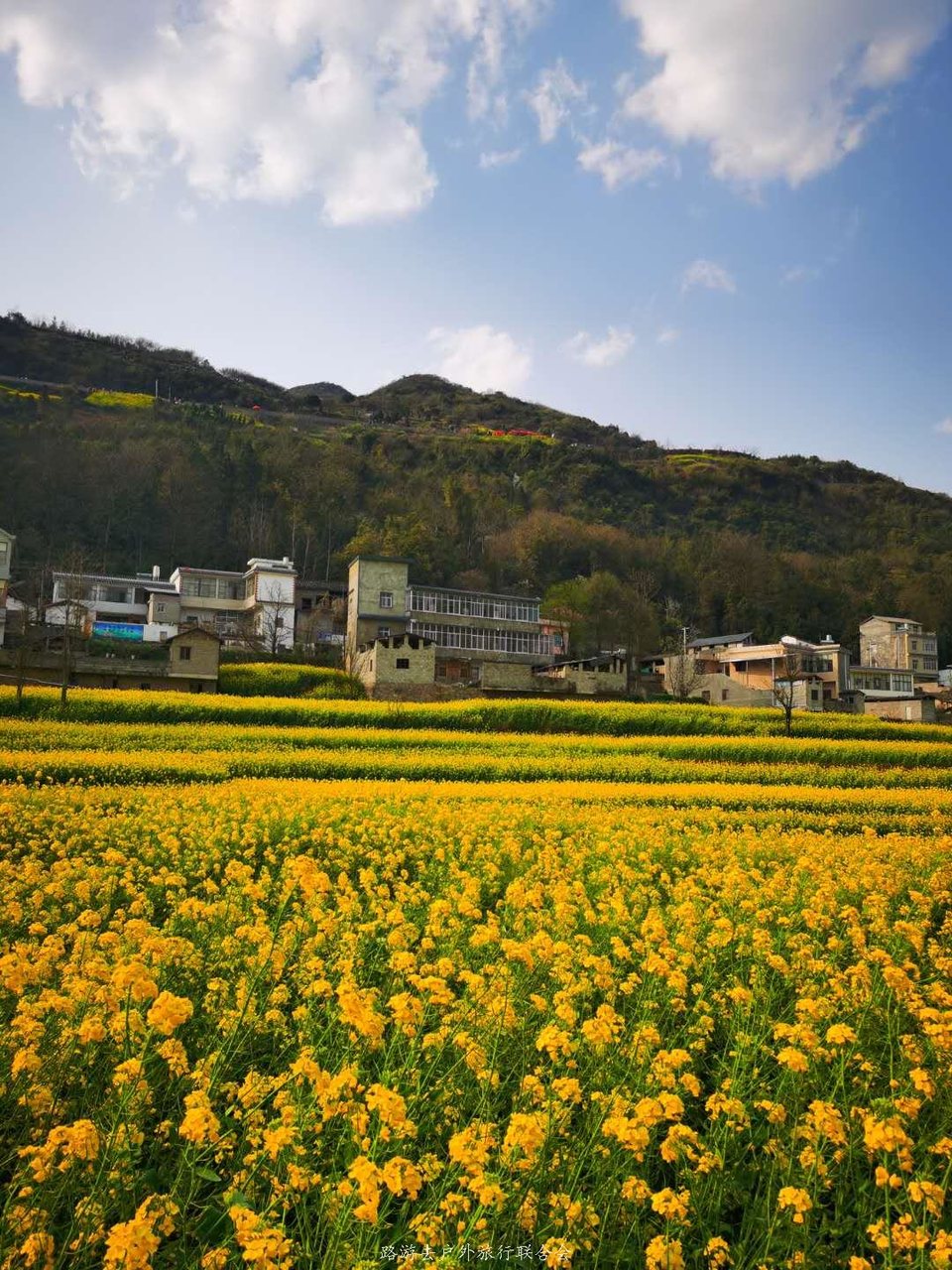 FrEML9PR_VS-X0GBjJdWV-l8_CnW4kpl6GTsBOLwnlXD4N2UyHrrvVSsq33rc5og