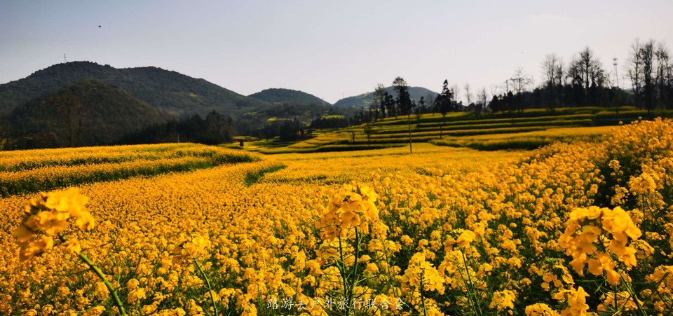 o8mheLo1wPLoXtvCYAxiuWcLLBioNSC36gk7dQjyDkpwnQURPTek542hcfc5lNc9