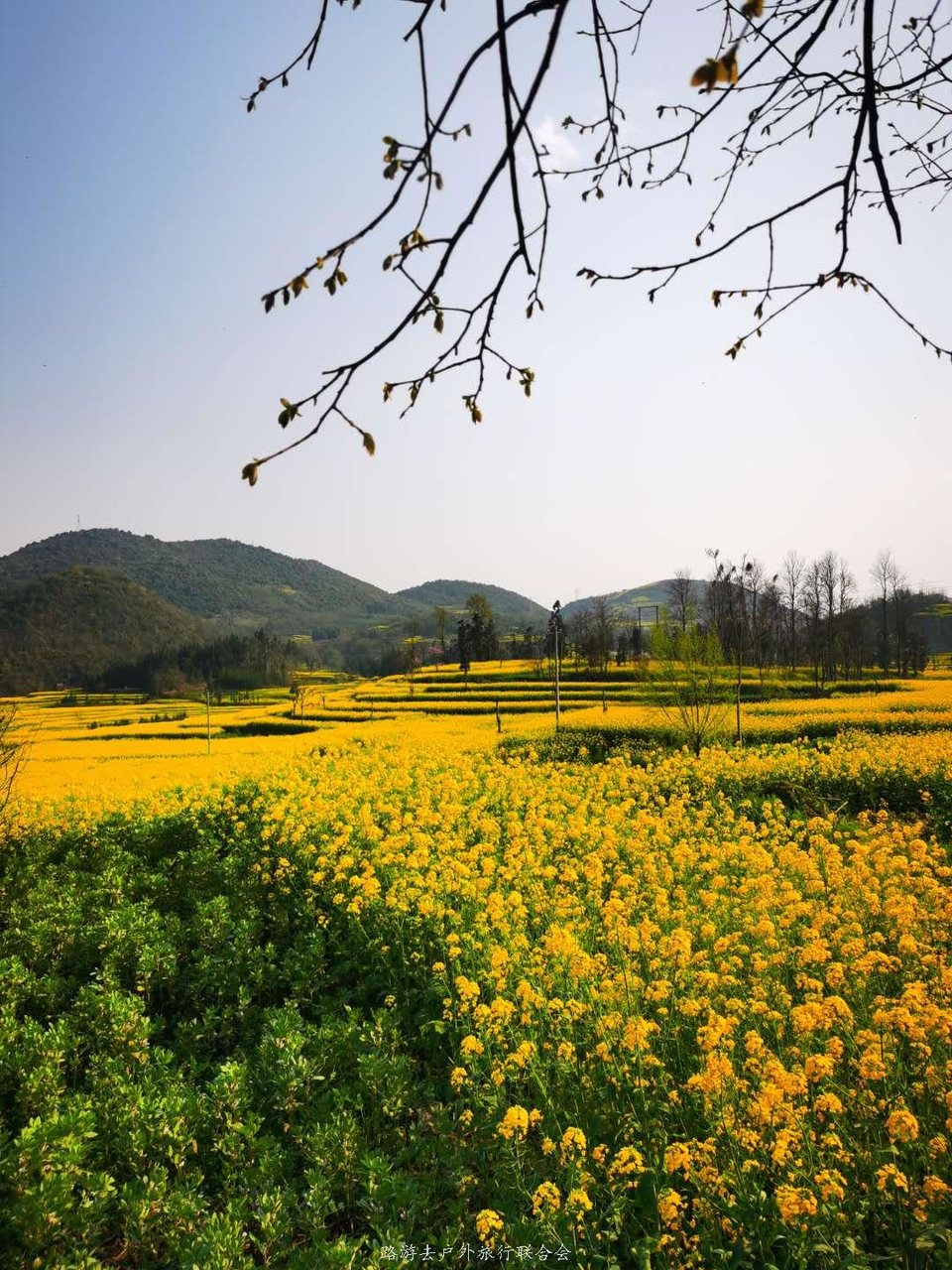 IgmeK4gJ7yHpgjzqPnik5QL5M4sTc5oxvm0pQeJDnkHx4fnVnCsVwjZ9BPj64F2f