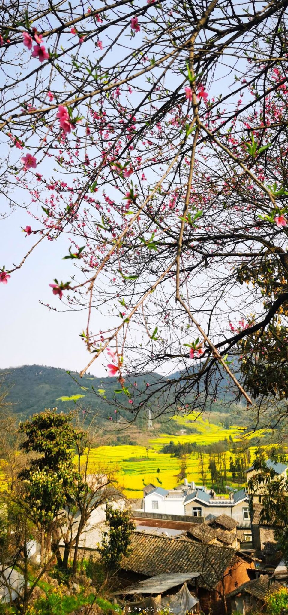 pAsaQkXWTMZNxFA0HKB1rCUduoRMhAakSaCqfmegD1zKcQzswR-WNs_qowUOAMhz