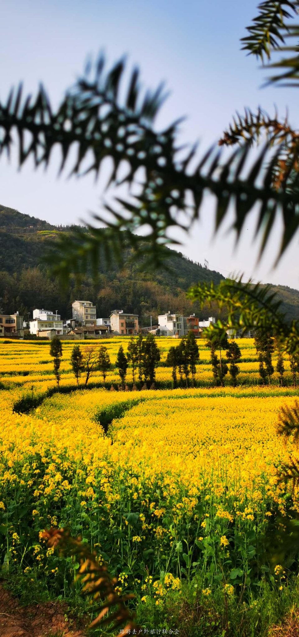 1WmC0VR6vk_g0G0QGh3L--swpe0n0oaWlNkcfVLxY-f1Ripzo-yJJJ_lH6WPj2TN