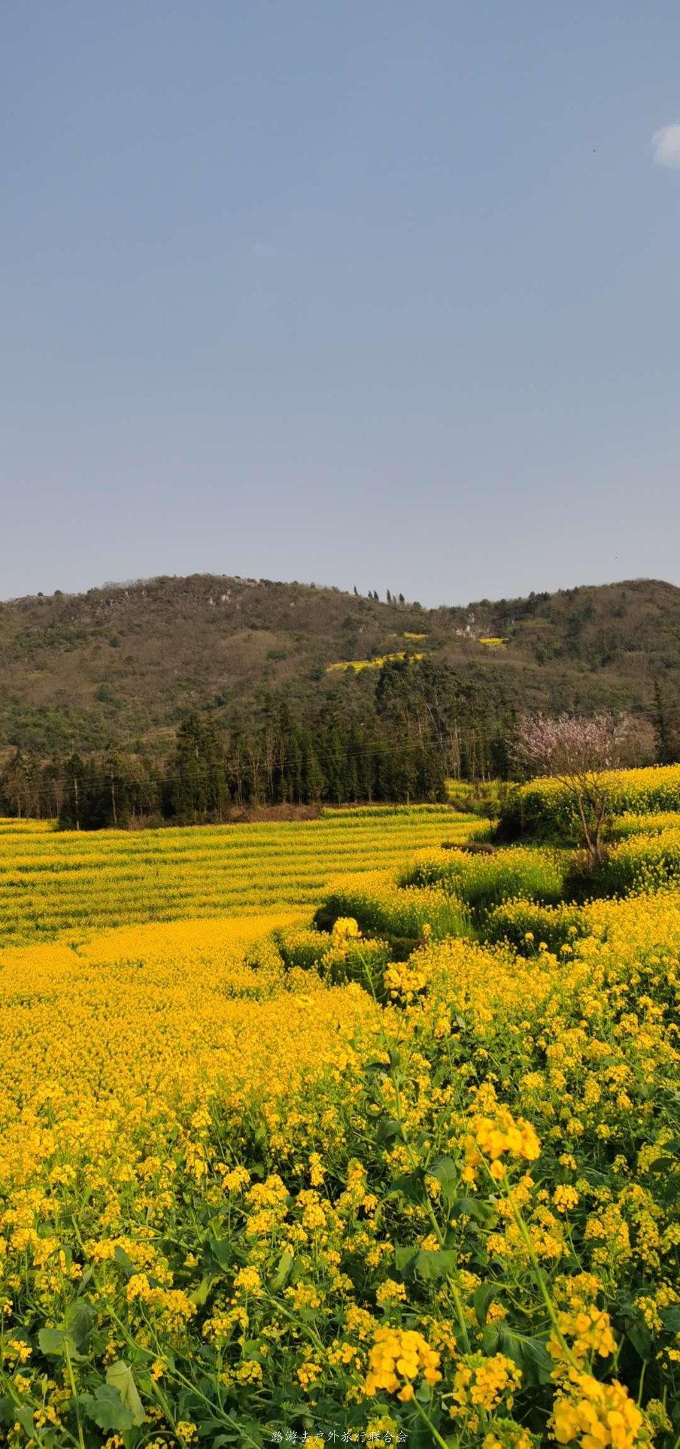 -DgVHXtCa9OXqYlsSXPBPdqR2kISYLE5BrXXJuOkzMoCzMljddatDF--897mZRga