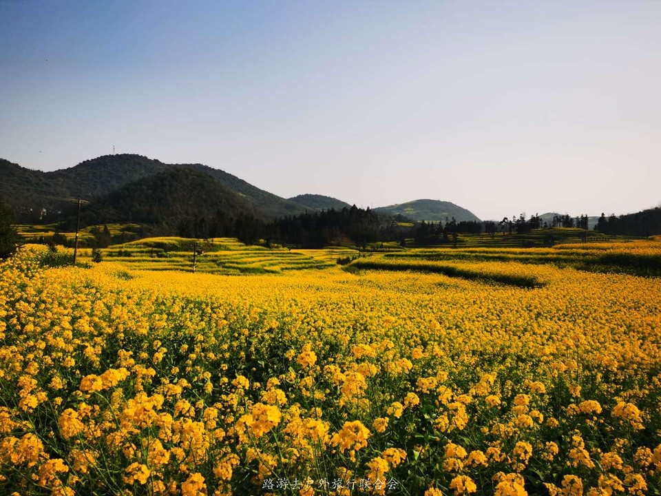 oGC0jwL4Ljzz4KrCShwQZZJpz_Bg23DwUiHZJkngNeBlXTMItt0hkbrZSAoKflCV