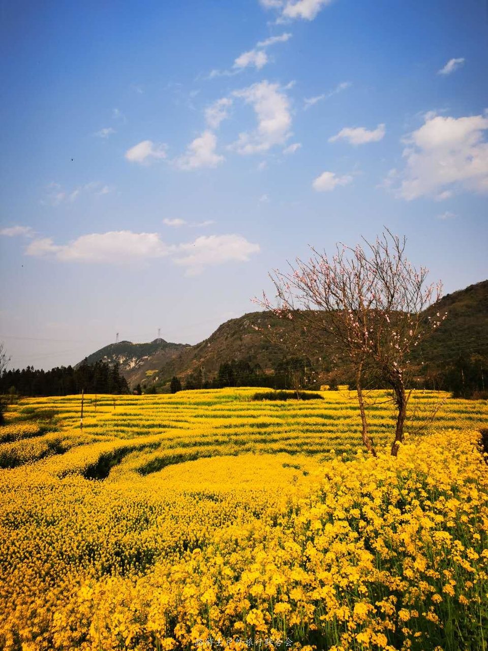 utLgXa-MAdH6EFGBWXjibS152k5nbKYNxFSYvBYn0Os4dwEGyviQUvp_f7Yy793o