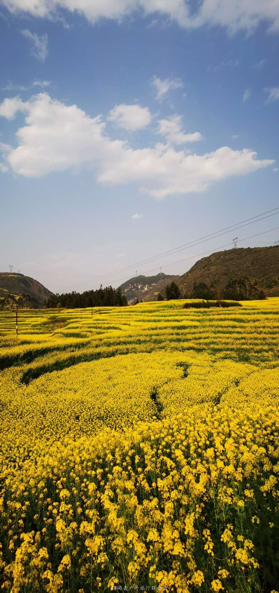 vJTiAOUyRpeijsll6MotI1w7dNRM1m4cxf9yZdedqY5f2ezL-o6FZK8XFRypohZS