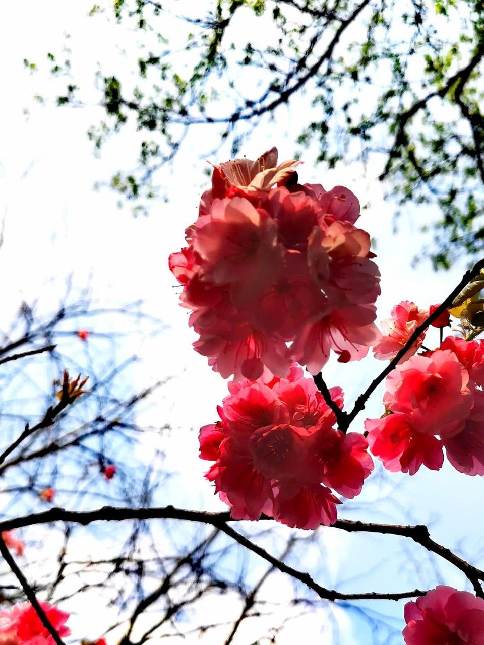 Lt8RCRqHUkCscMe7Hl8-Rqgo_PP4nv4eVrOgf_WaGOdbpns3Sz0kZQzAIyrp8Axv