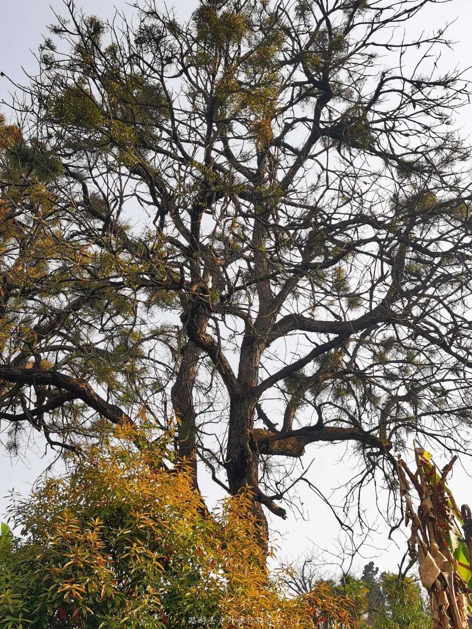 P3J5EzuCLDQZoe-dLJfExJ6HACjgqOLRoVaudSfrfxQlf37kasGH5yNF10fhzKWH