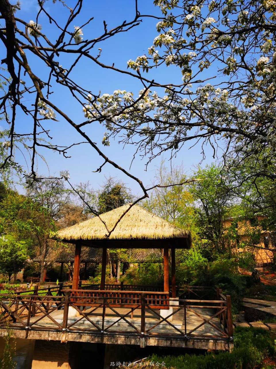 wrdrVOwY90ThenCF5MsGwFQSyyCFpu7wqyHwnvA1j_-ut-BcNCq8PZw2h36goaWa