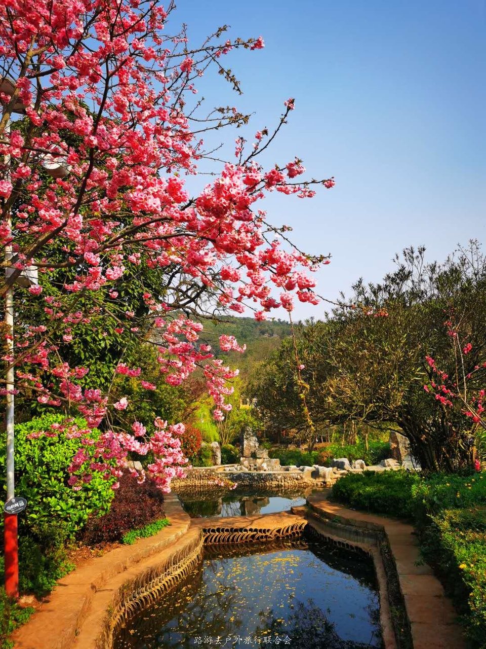 G0-ANuLkb3a-6lmuZJGy4LmHuFtpIgGs0HsCeCWkyUIepO9S_KqS1chKRGTVkB8s