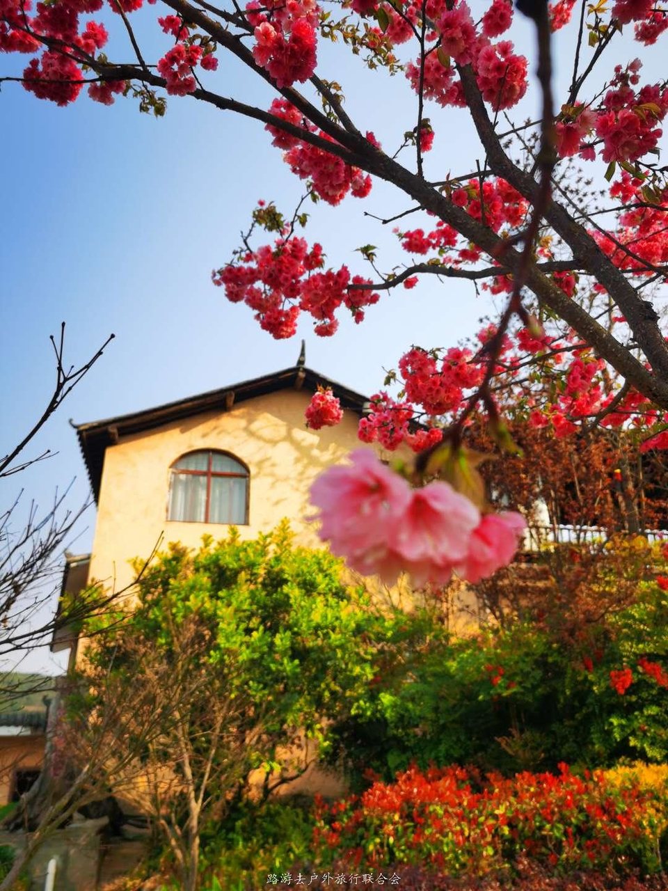 WQX0QMfU2_1YKq0YP30z2R26zY4iV49kuxW9G58yKqULG_-ThqnJv4HhOk46H4Vg