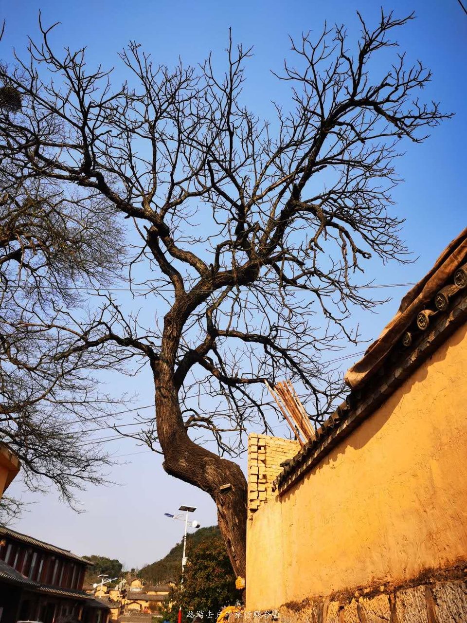 4HUvMD8EVd-mBi8hIa-9-nVgONDWqAe4xYxTykDQwA-YRad37MCfmtqfq8RLfxfK